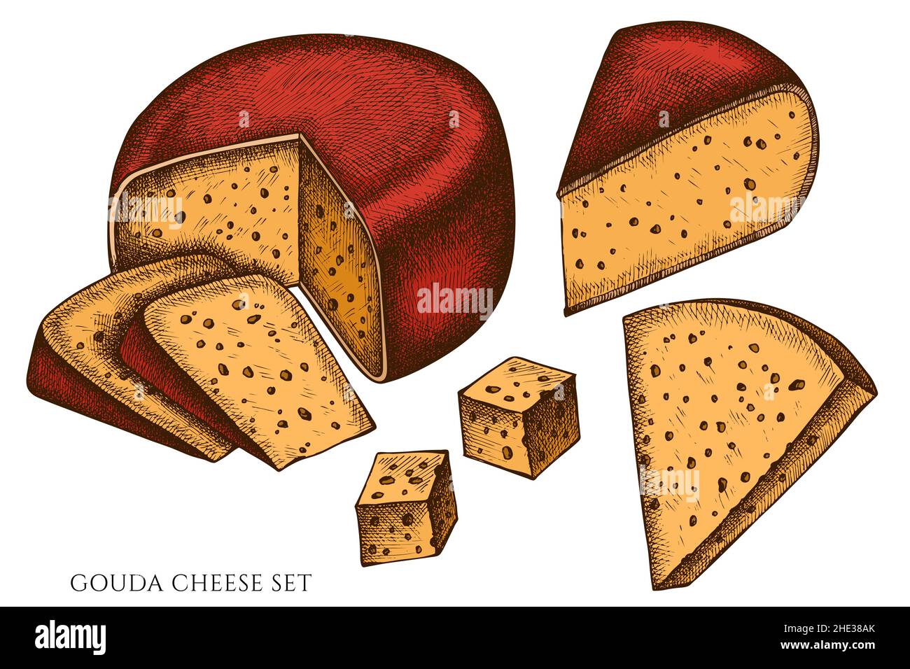 Cheese hand drawn vector illustrations collection. Colored gouda cheese