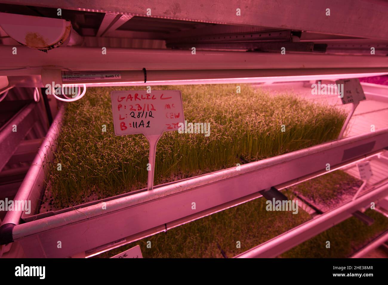 Underground hydroponics farm Stock Photo Alamy
