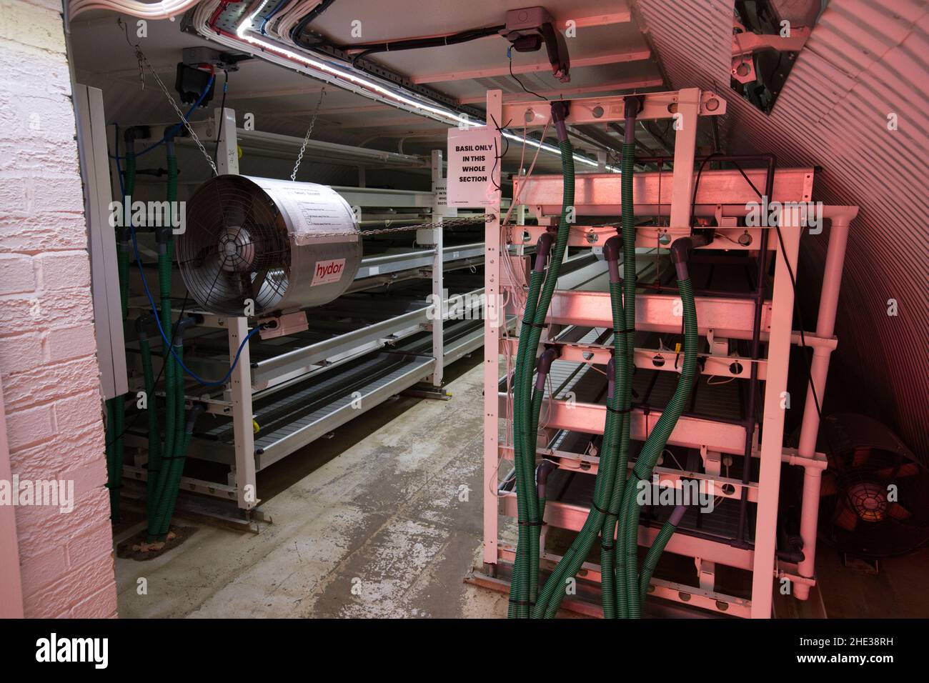 Underground hydroponics farm Stock Photo Alamy