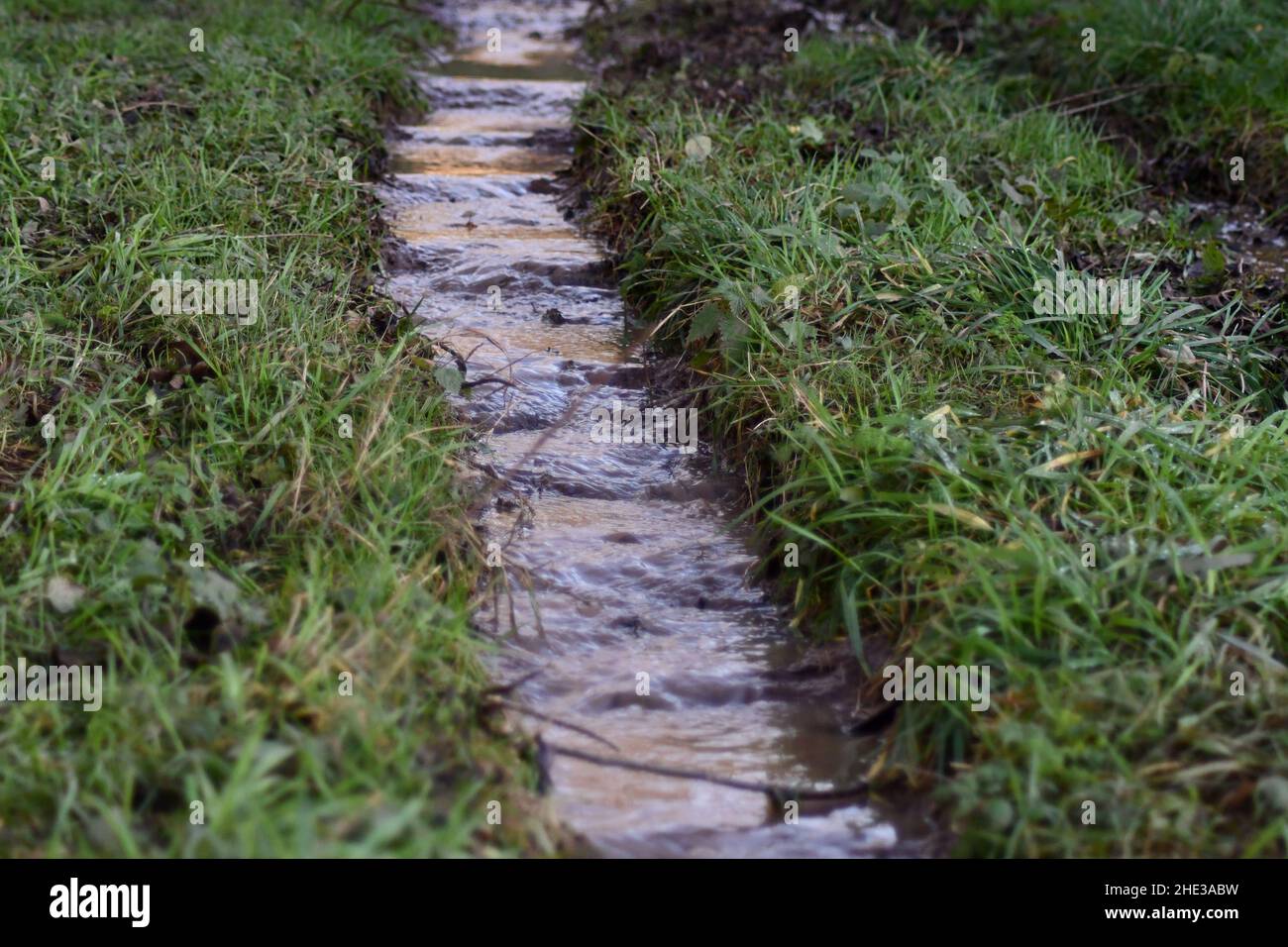 Naturally formed stream running by the side of an agricultural field