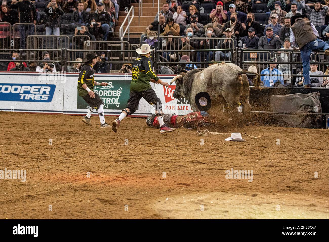 Pbr Built Ford Tough Schedule 2022 Bull Riders High Resolution Stock Photography And Images - Alamy