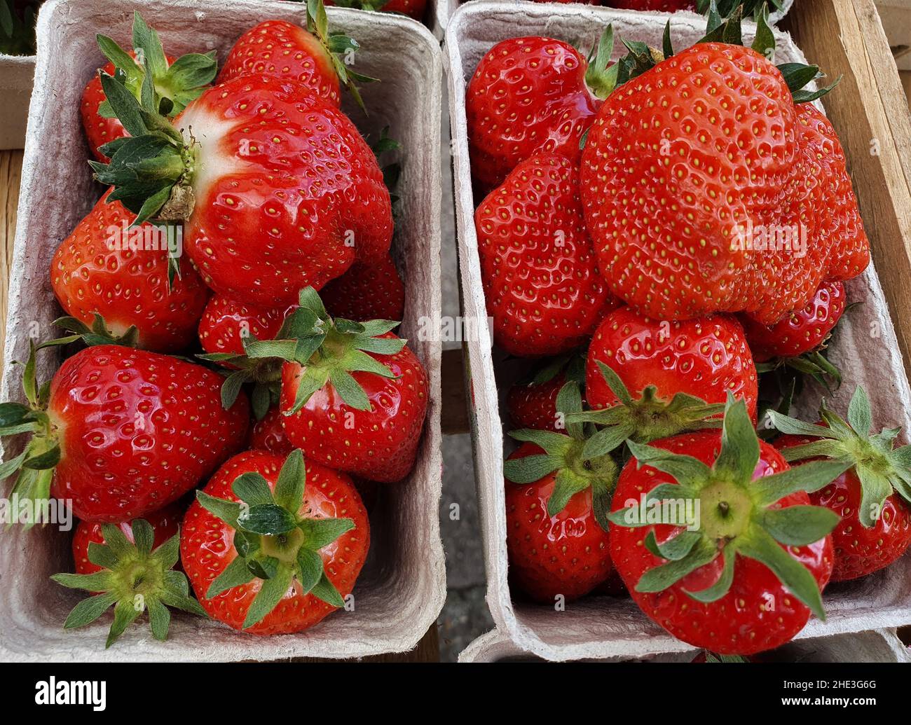Strawberries in bowls on hi-res stock photography and images - Alamy