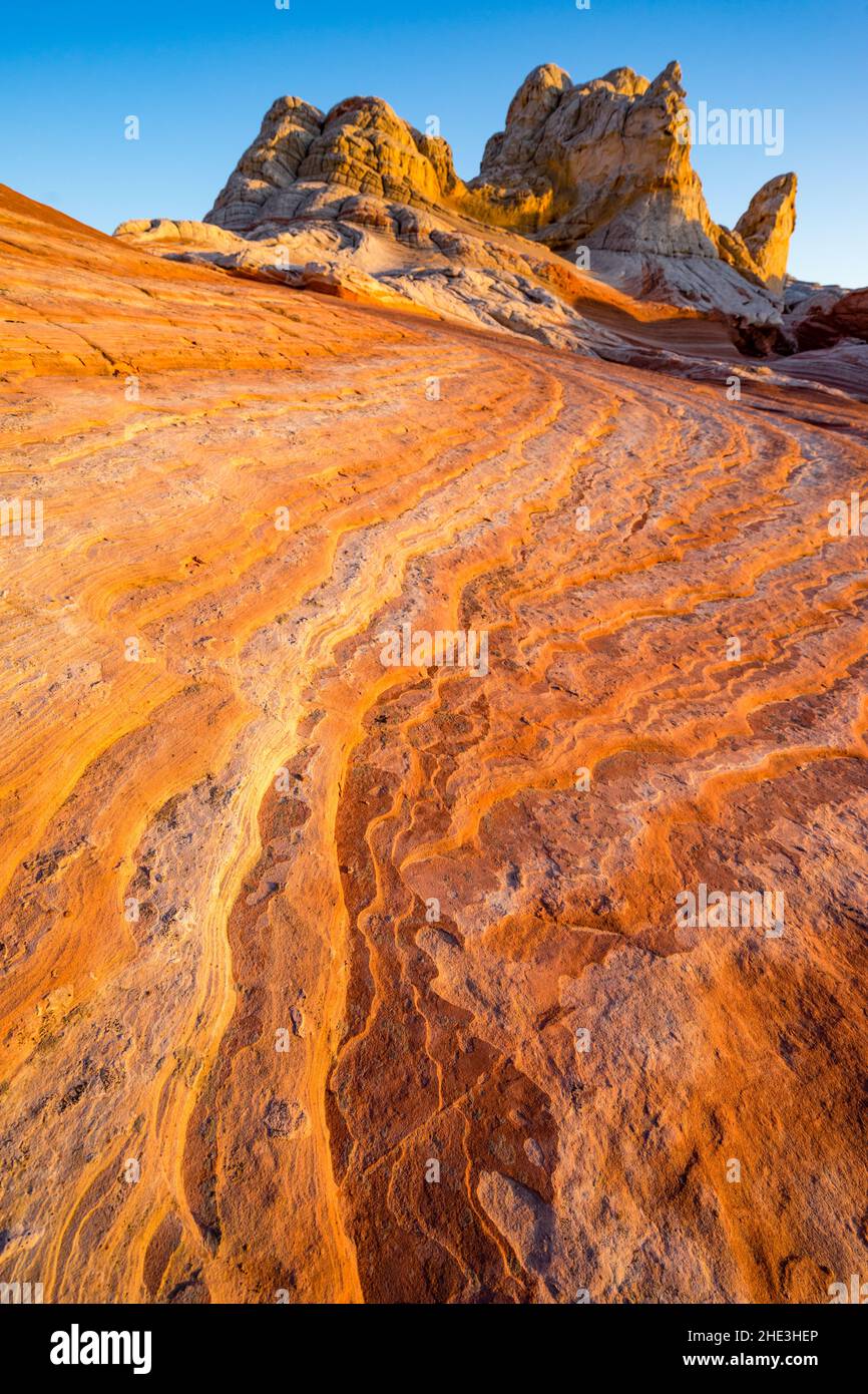 Warm evening light on colorful stripes in sandstone lead toward unusual rock formations at White Pocket area in Vermilion Cliffs National Monument, AZ Stock Photo