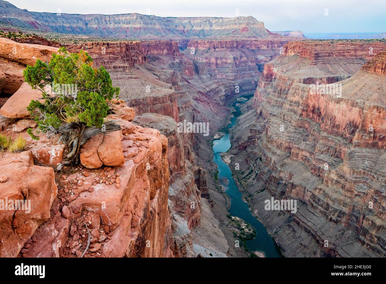 Colorado River deep in the bottom of Grand Canyon viewed from Toroweap point North Rim Grand Canyon National Park Arizona Stock Photo