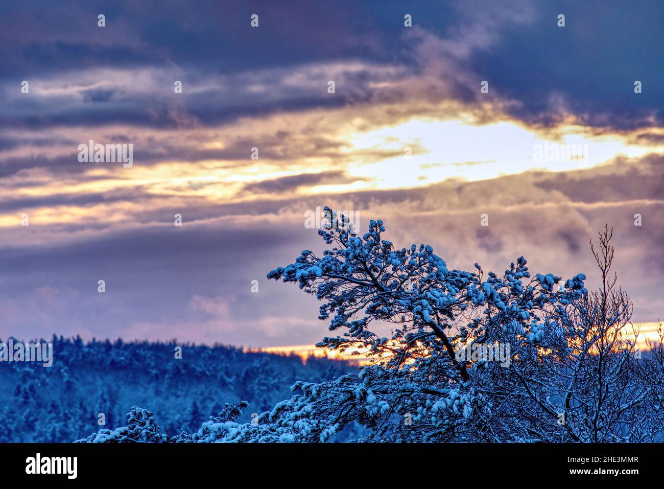 scenic colorful sunset over the snowy woodland Stock Photo