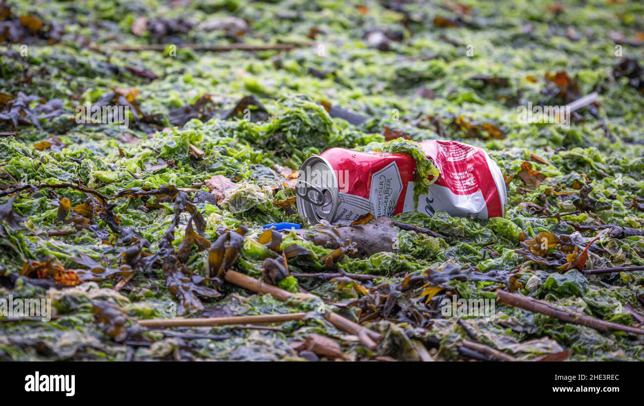Plastic pollution crisis, environmental damage at UK nature reserve Stock Photo