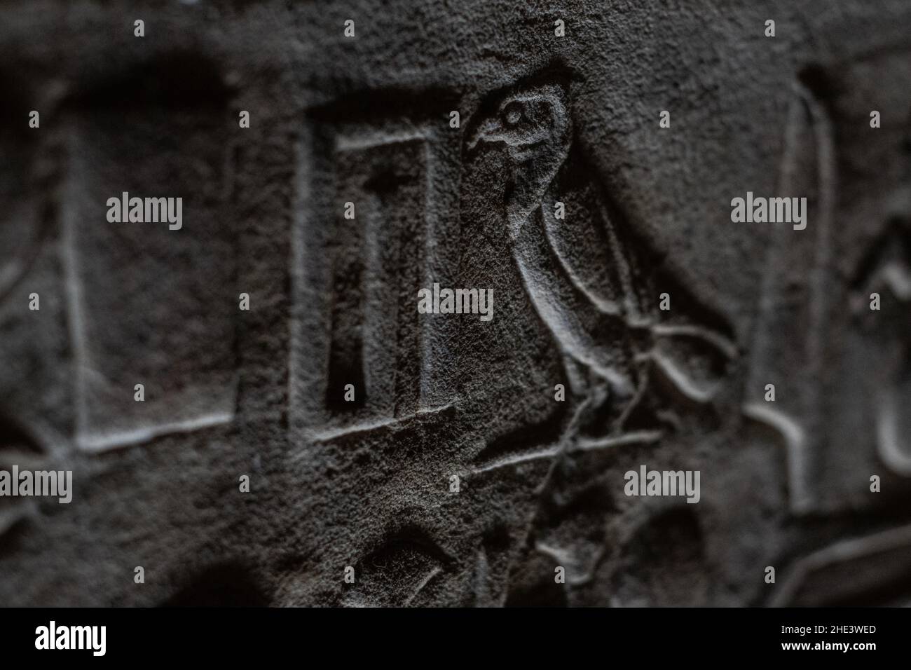 An ancient egyptian falcon hieroglyph on a temple wall in Egypt. Stock Photo