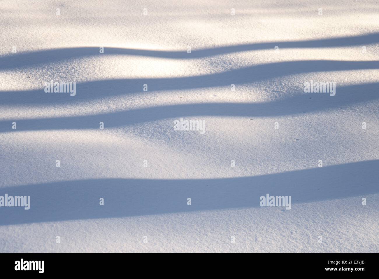 Background with shadows from trees in the snow Stock Photo - Alamy