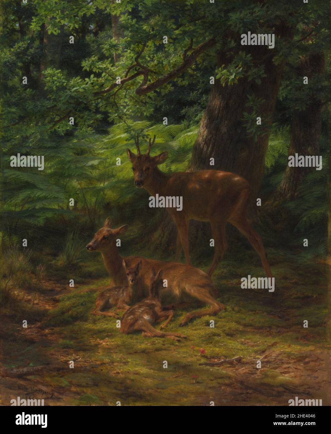 Rosa Bonheur Deer in Repose Stock Photo Alamy