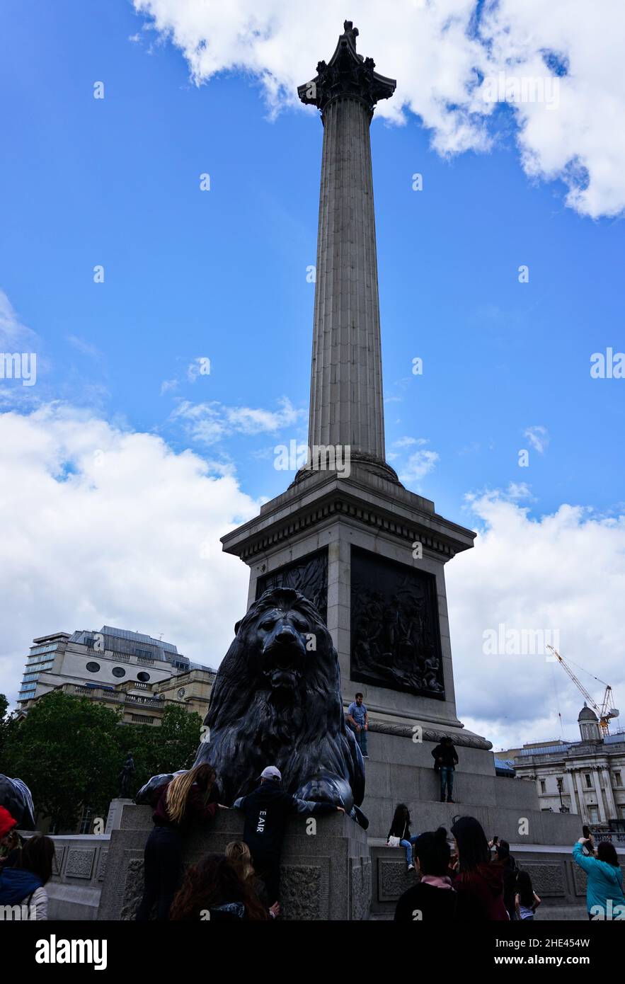 Nelson's Column and Trafalgar Square in Westminster, Central London, England. Stock Photo