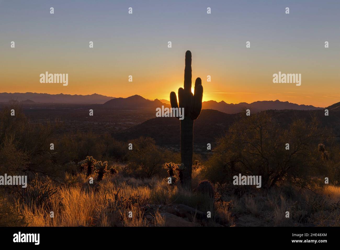 Sunset Sky with Vibrant Colors behind Saguaro Cactus and Scenic McDowell Sonoran Desert Preserve Landscape in North Scottsdale, Arizona USA Stock Photo