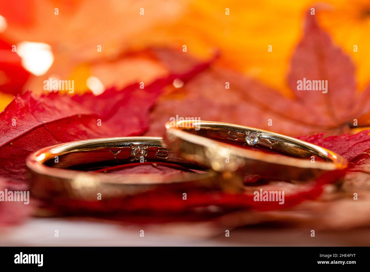 Closeup of two wedding rings on top of each other Stock Photo Alamy