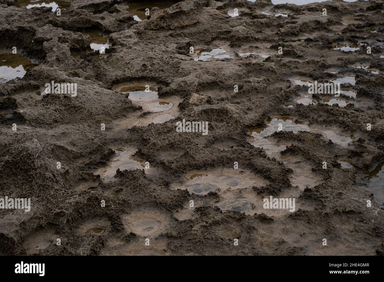 Volcanic rocks formation in wild sea shore ecosystem, geological science landmark  Stock Photo