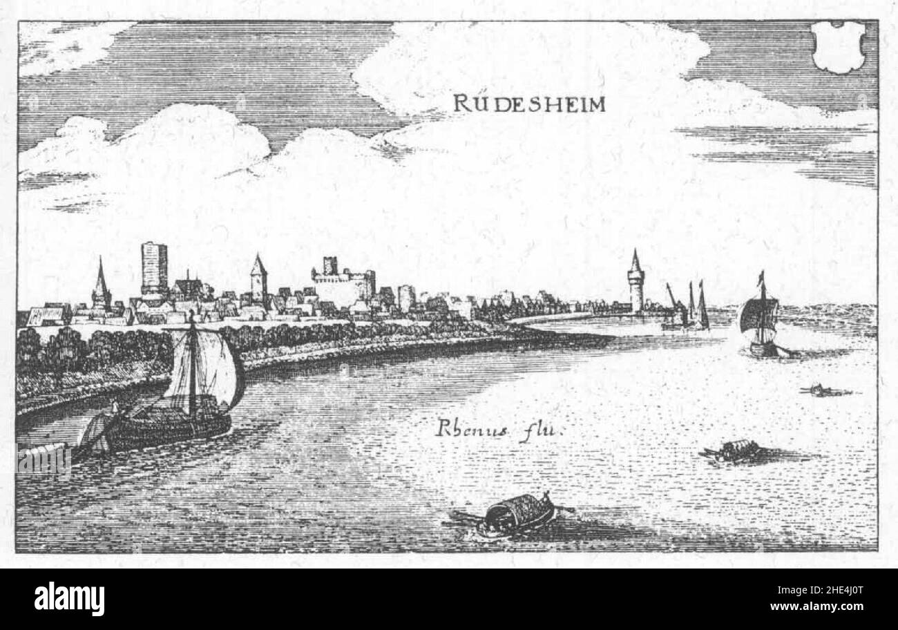 Gravure Ancienne De Rüdesheim Sur Le Rhin – 1820 Par J. Ziegler – Vue Romantique De Bingen – Vintage