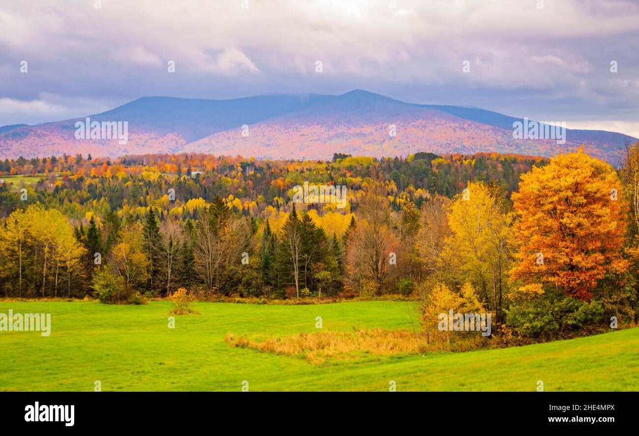 autumn foliage colors brighten up the landscape in the countryside Stock Photo