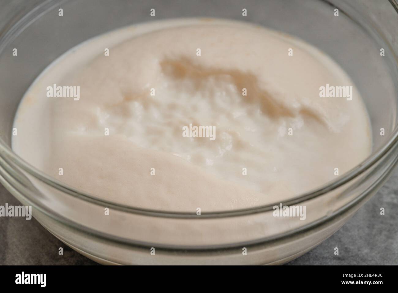 Homemade starter yeast growing. Step by step bread dough recipe, close