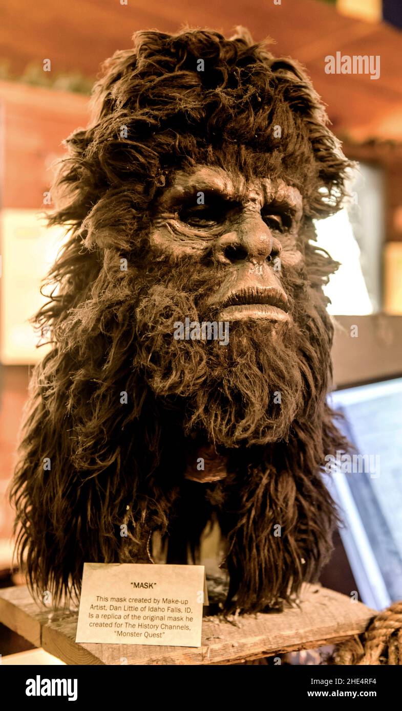 Sasquatch museum hi-res stock photography and images - Alamy