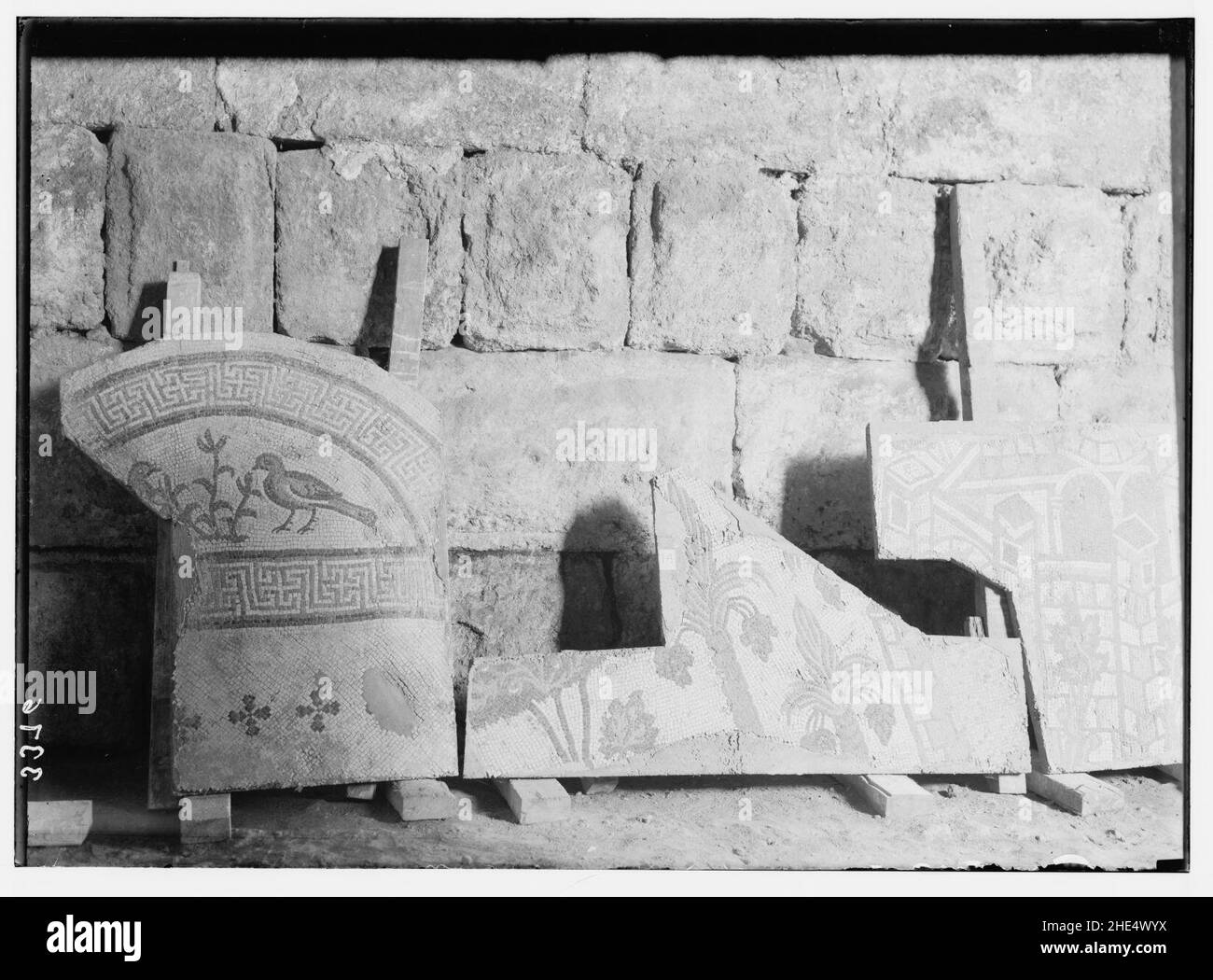 Ruins of Jerash (Gerasa). Jerash mosaic. Section showing fruiting palm trees and birds. Stock Photo