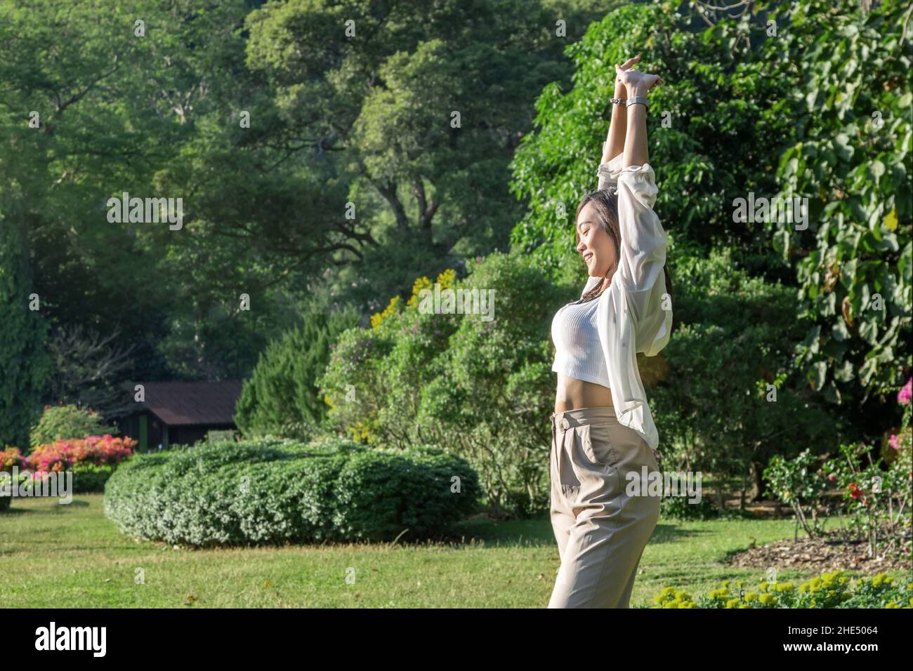 Asian women wake up early in nature with exercise or yoga with soft sunlight Stock Photo