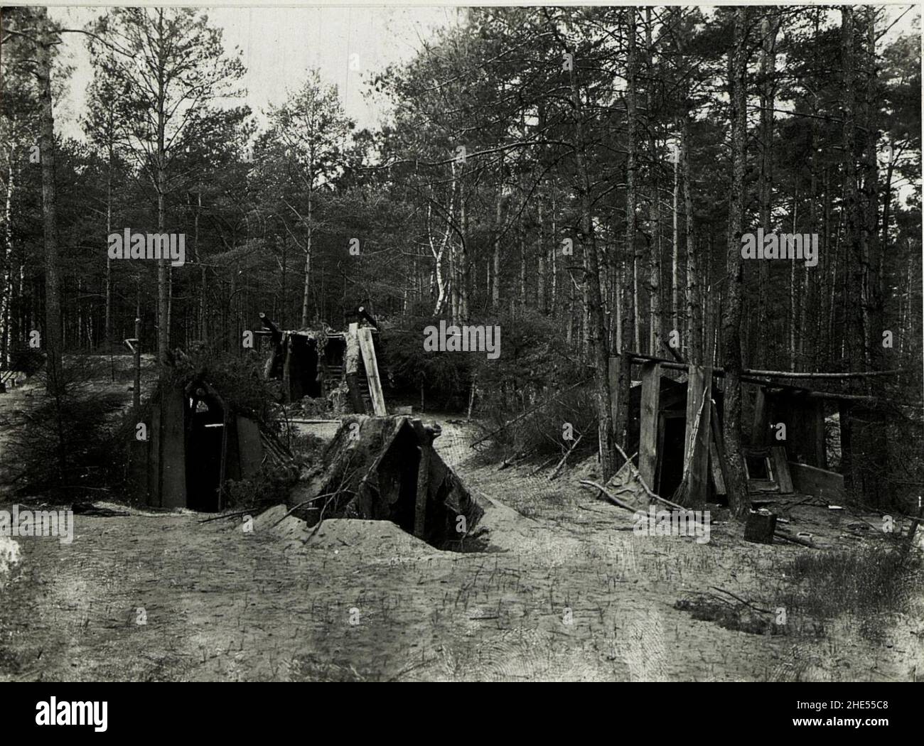 Russische Ruhestellung im Wald bei Falkòwska - Wòlka. Stock Photo