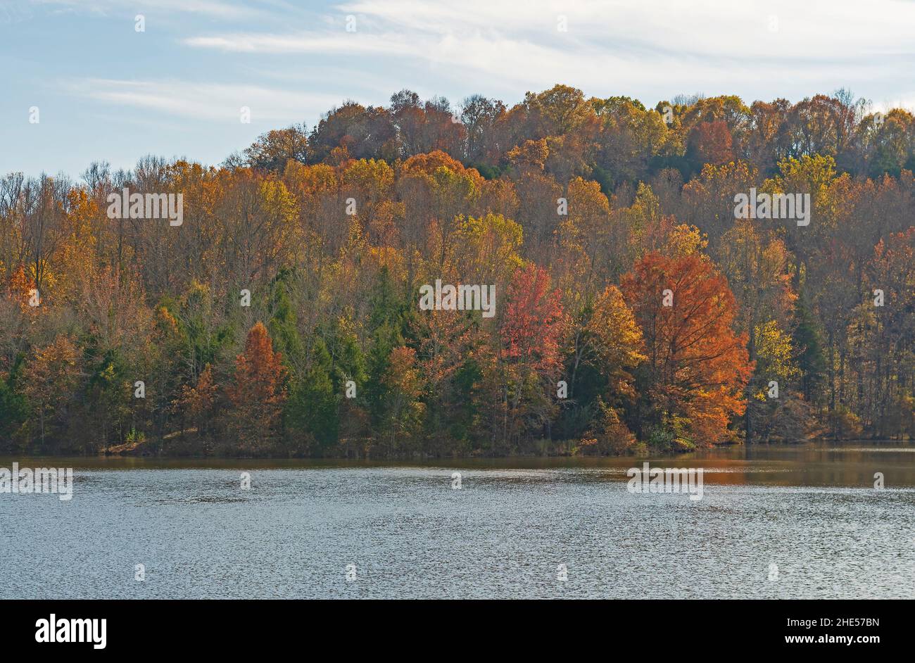 Iridescent Fall Colors on a Remote Lake in Ferne Clyffe State Park in Illinois Stock Photo