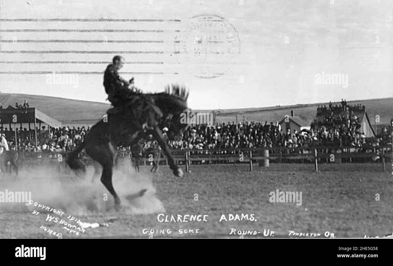 Pendleton Bronc Saddle bronc rider, Clarence Adams, on bucking horse at the Round-Up in ...