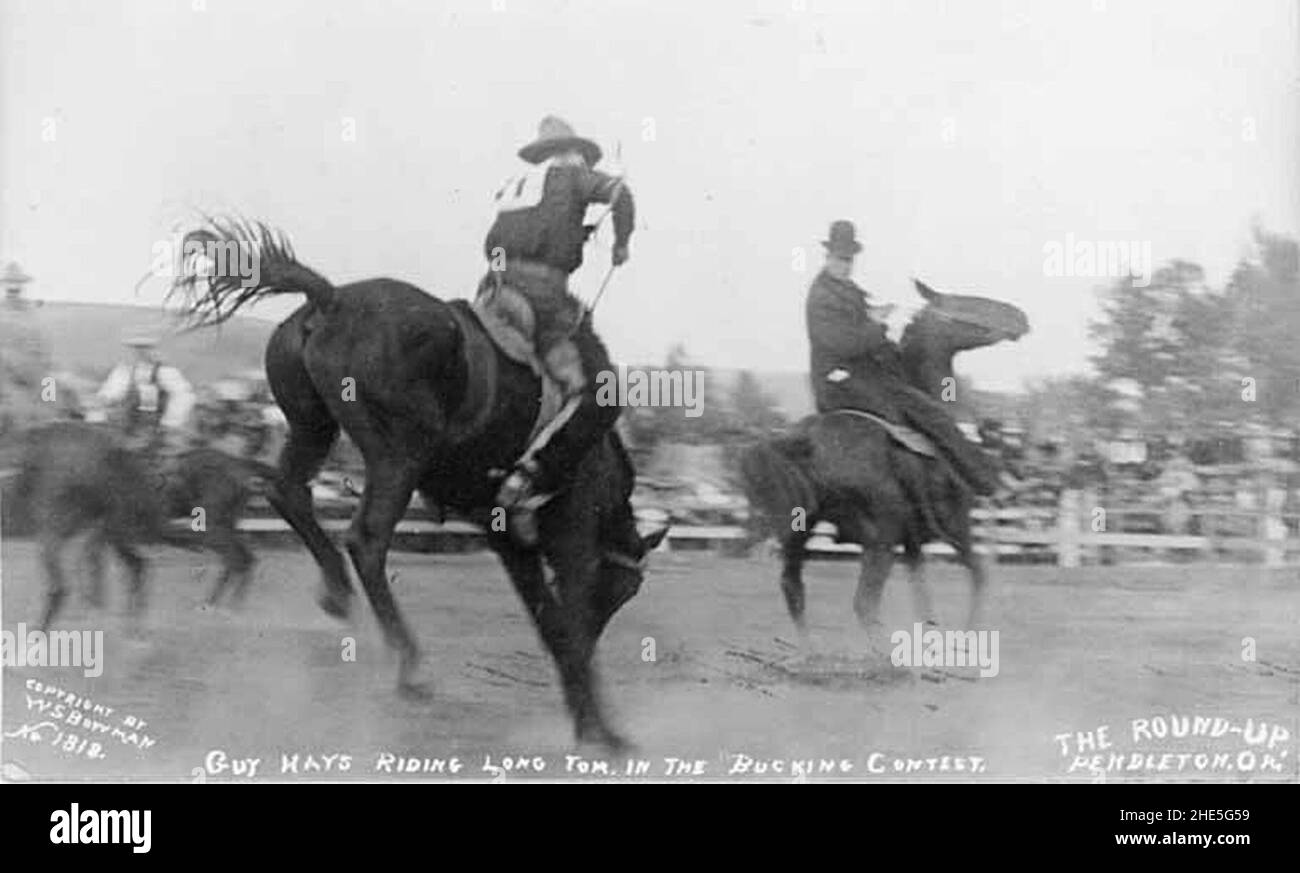 Pendleton Bronc Saddle bronc rider Guy Hays at the Round-Up in Pendleton, Oregon, 1910 ...