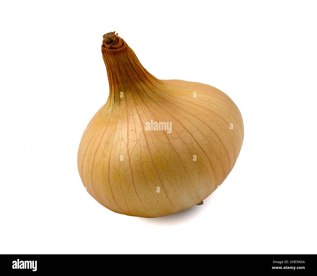 One yellow onion isolated on white background. Stock Photo