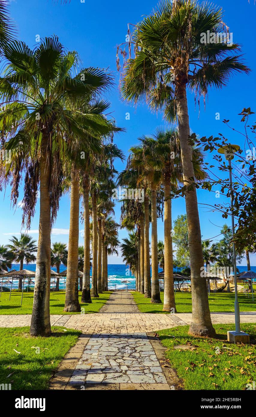 Cyprus visual data 2