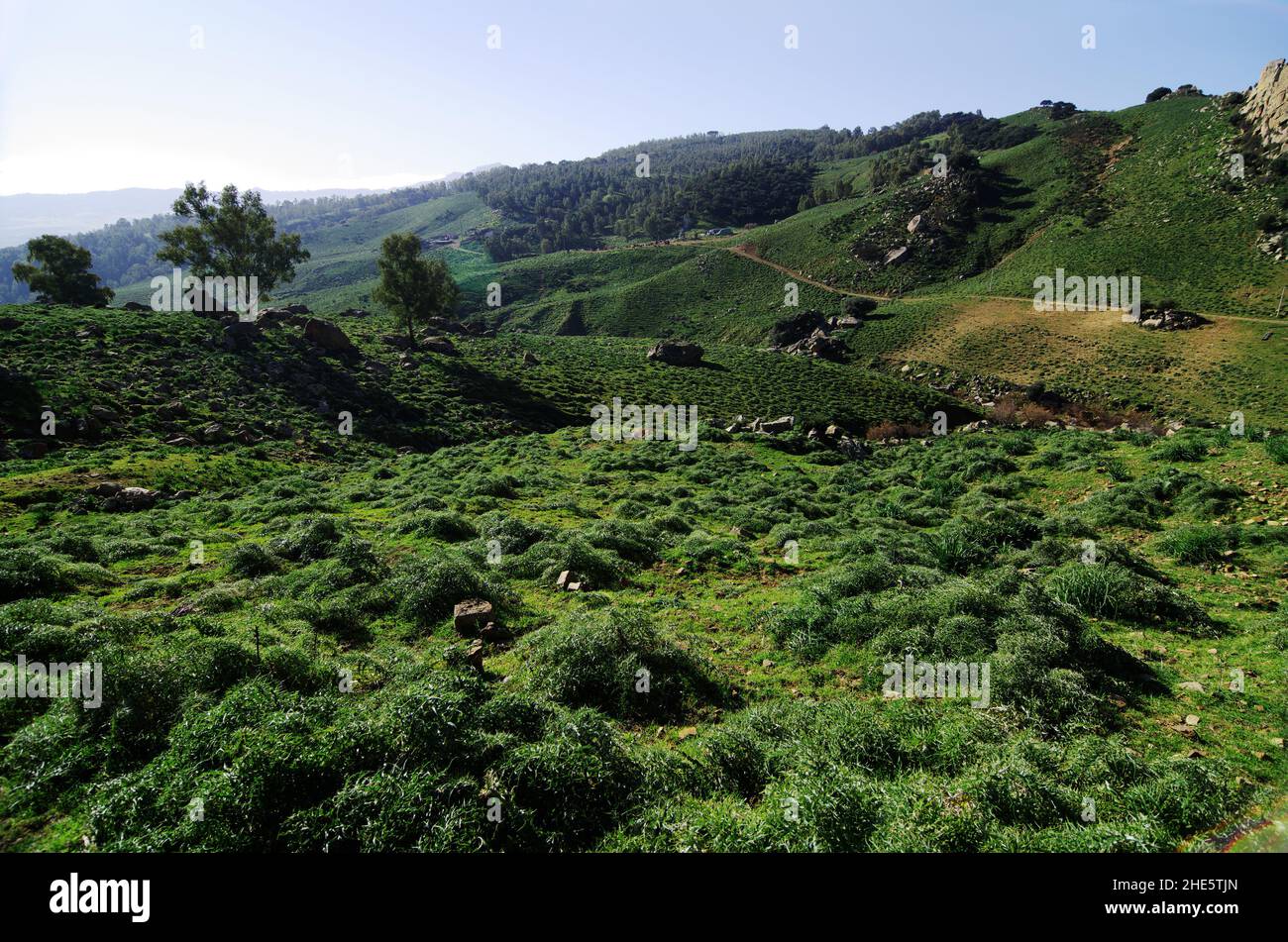 green valley of Sicily inland landscape Stock Photo
