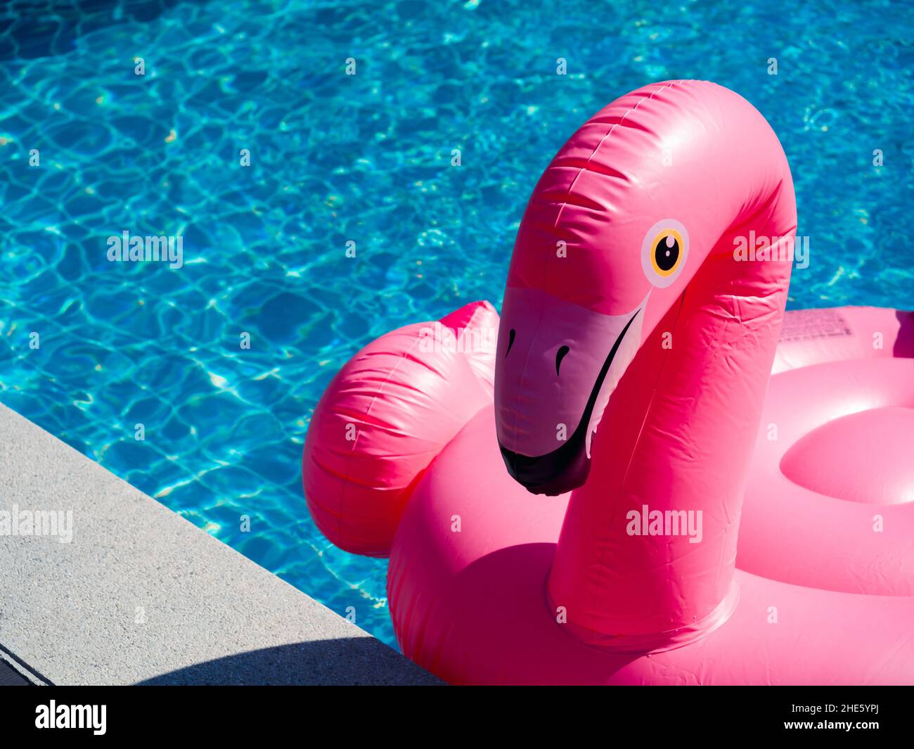 Close up the pink inflatable ring, flamingo in the swimming pool with copy space. Flamingo swim ring for summer beach. Stock Photo