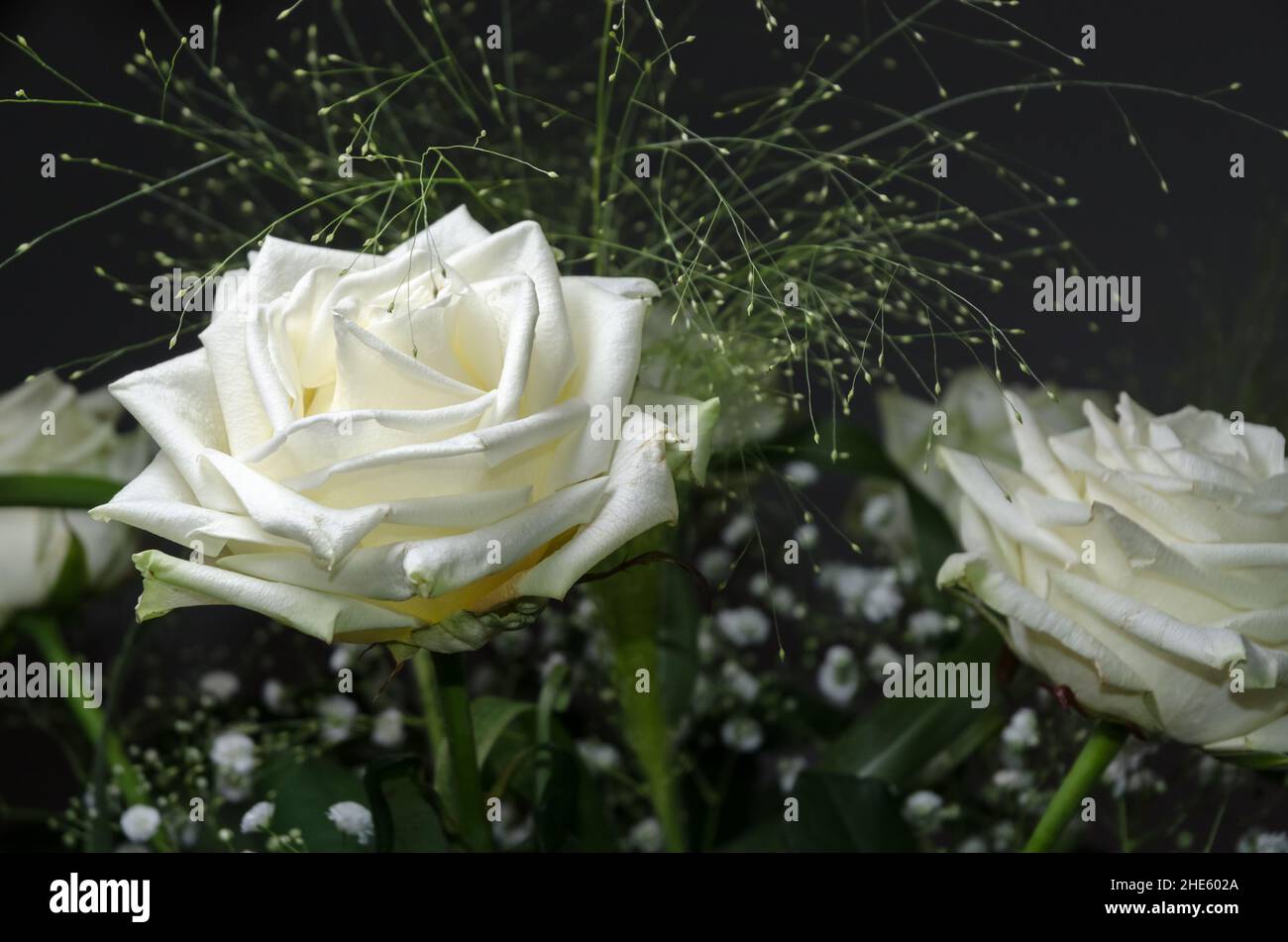 Decorative flower bouquet or arrangement with white roses and other
