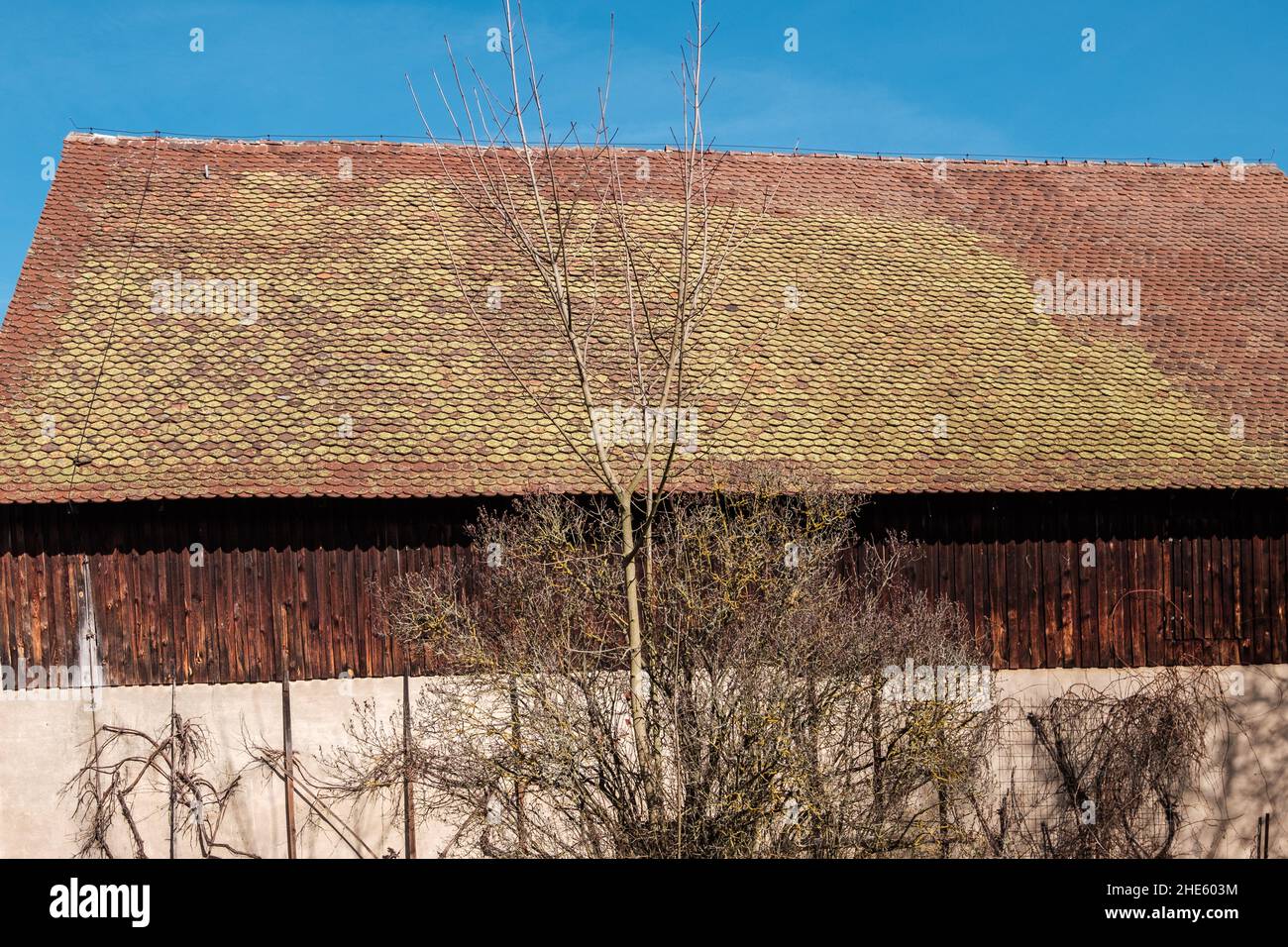 Tree House Side View Beautiful side view of a rural treehouse building and a tree against a ...