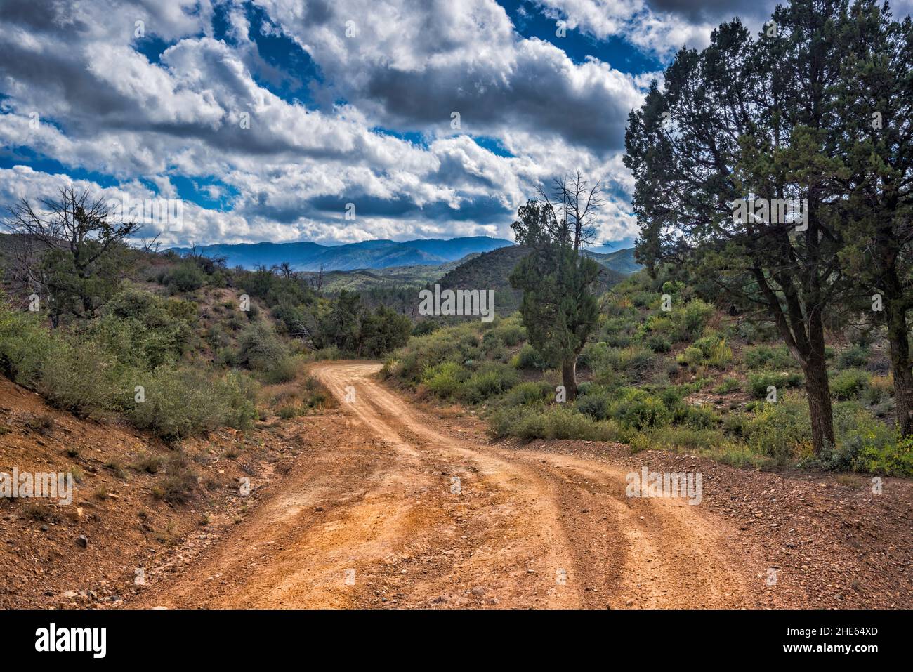 Bradshaw Mountains, view from Senator Road 52, south of Goodwin site