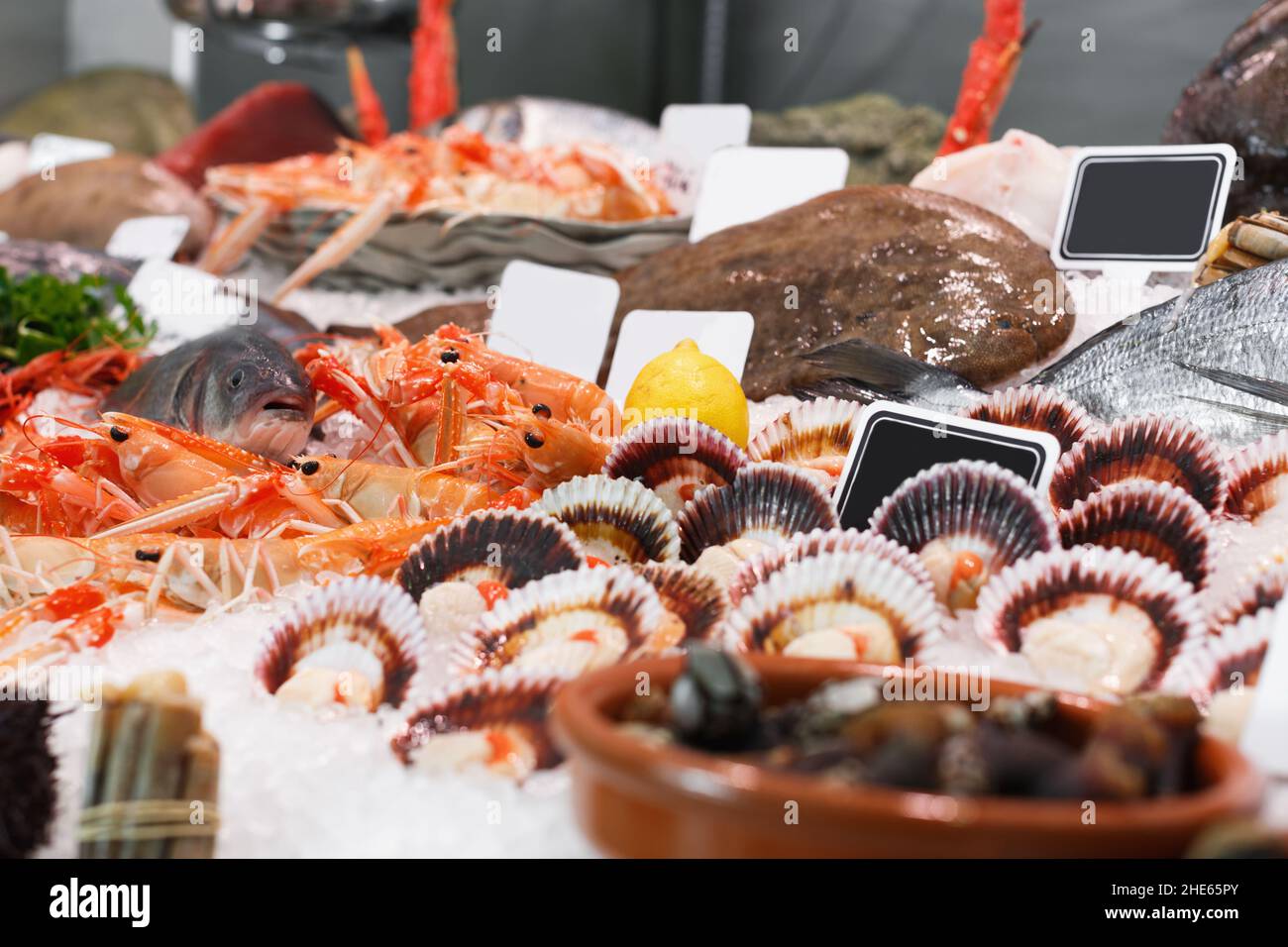Image of showcase with diversity of fresh marine products Stock Photo