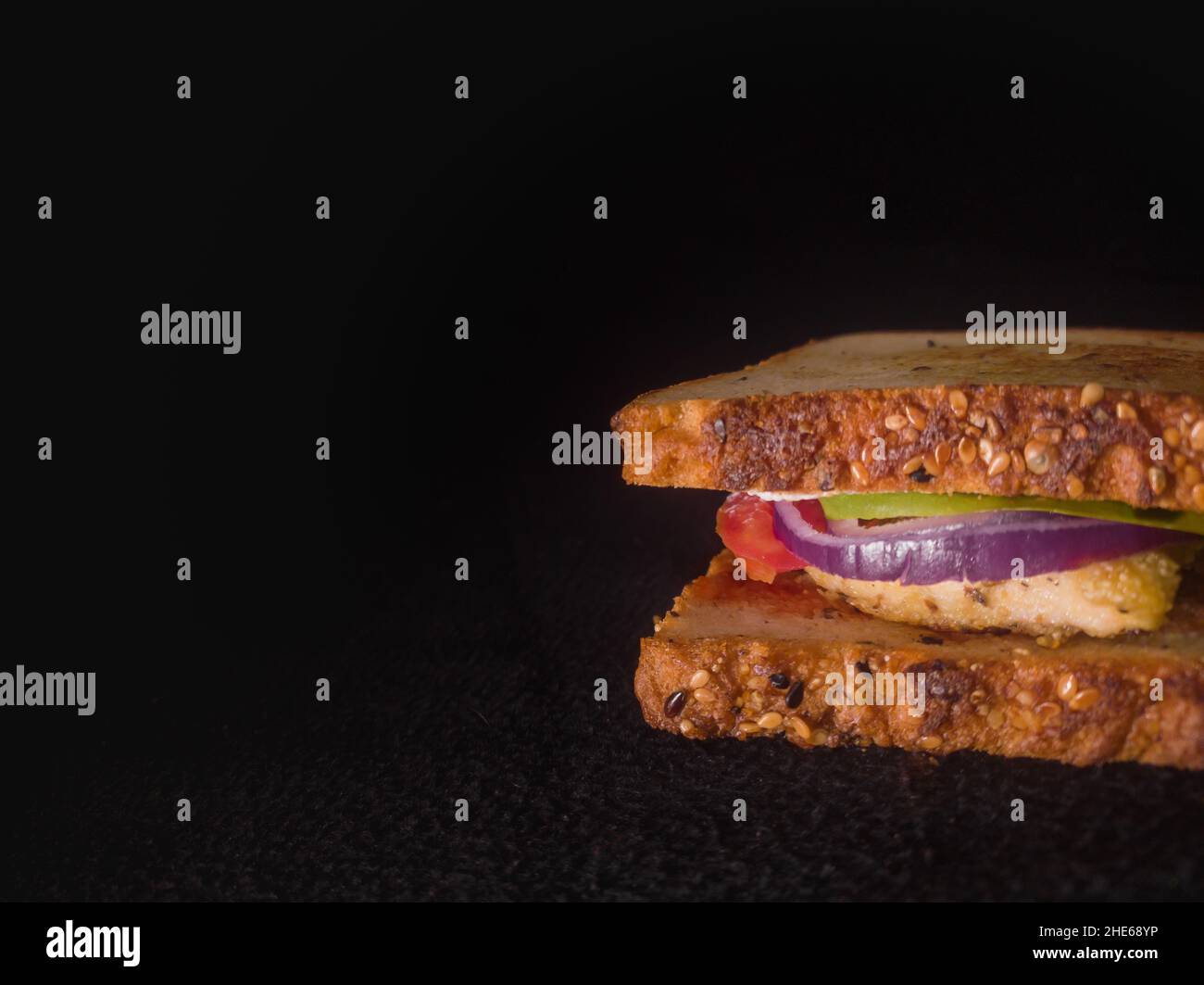 grilled sandwich with tomato, onion, chicken, lettuce and multigrain bread. close up shot with