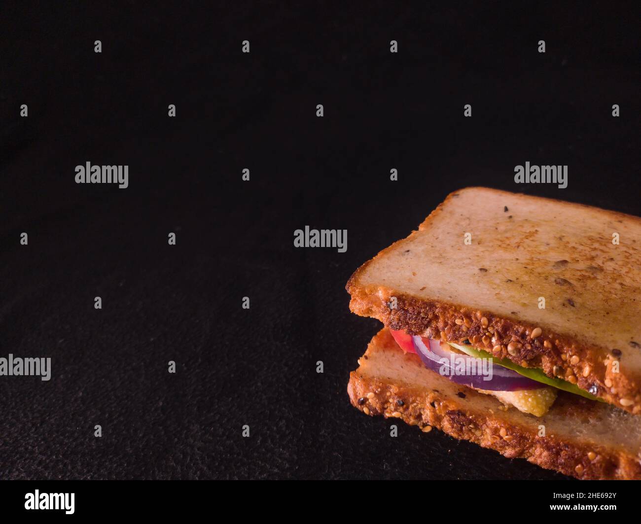 grilled sandwich with tomato, onion, chicken, lettuce and multigrain bread. close up shot with