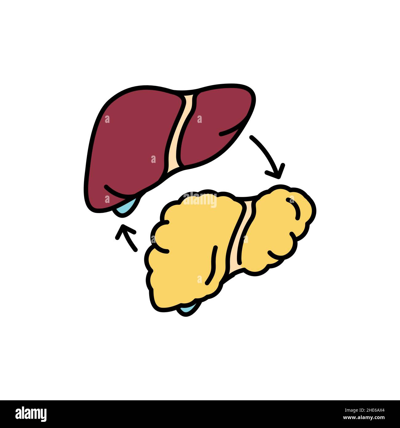 Liver transplant color line icon. Human diseases Stock Vector Image & Art Alamy