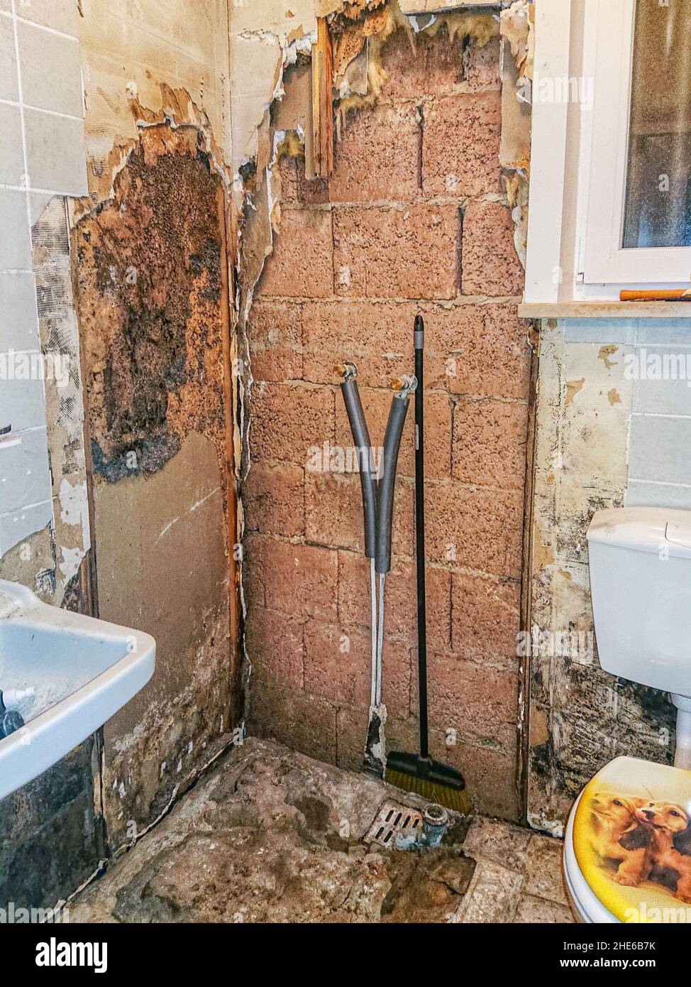 Black dew in a rotten old bathroom with tiles falling from the walls Stock Photo