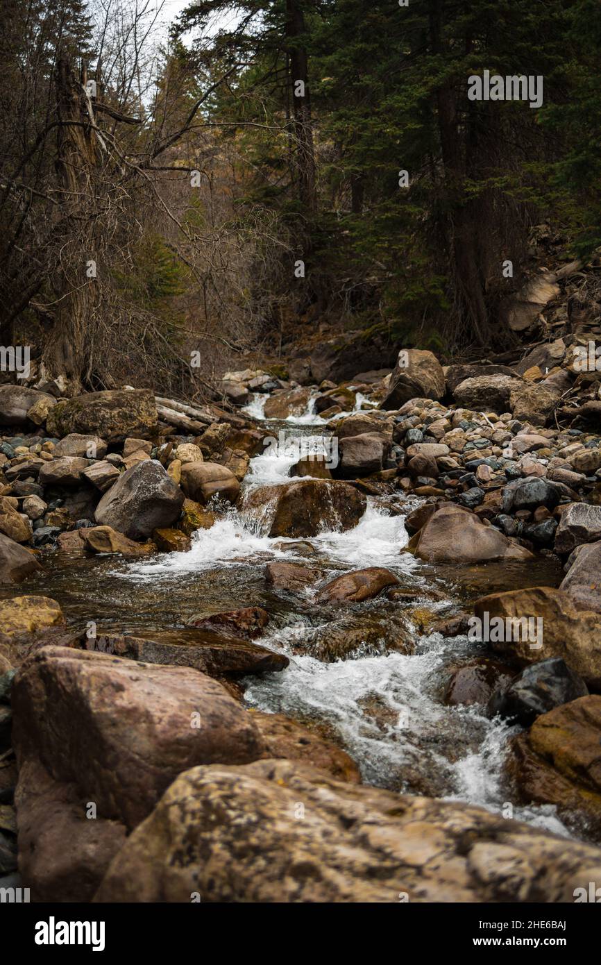 Vertical shot of flowing river over rocks in the forest Stock Photo - Alamy