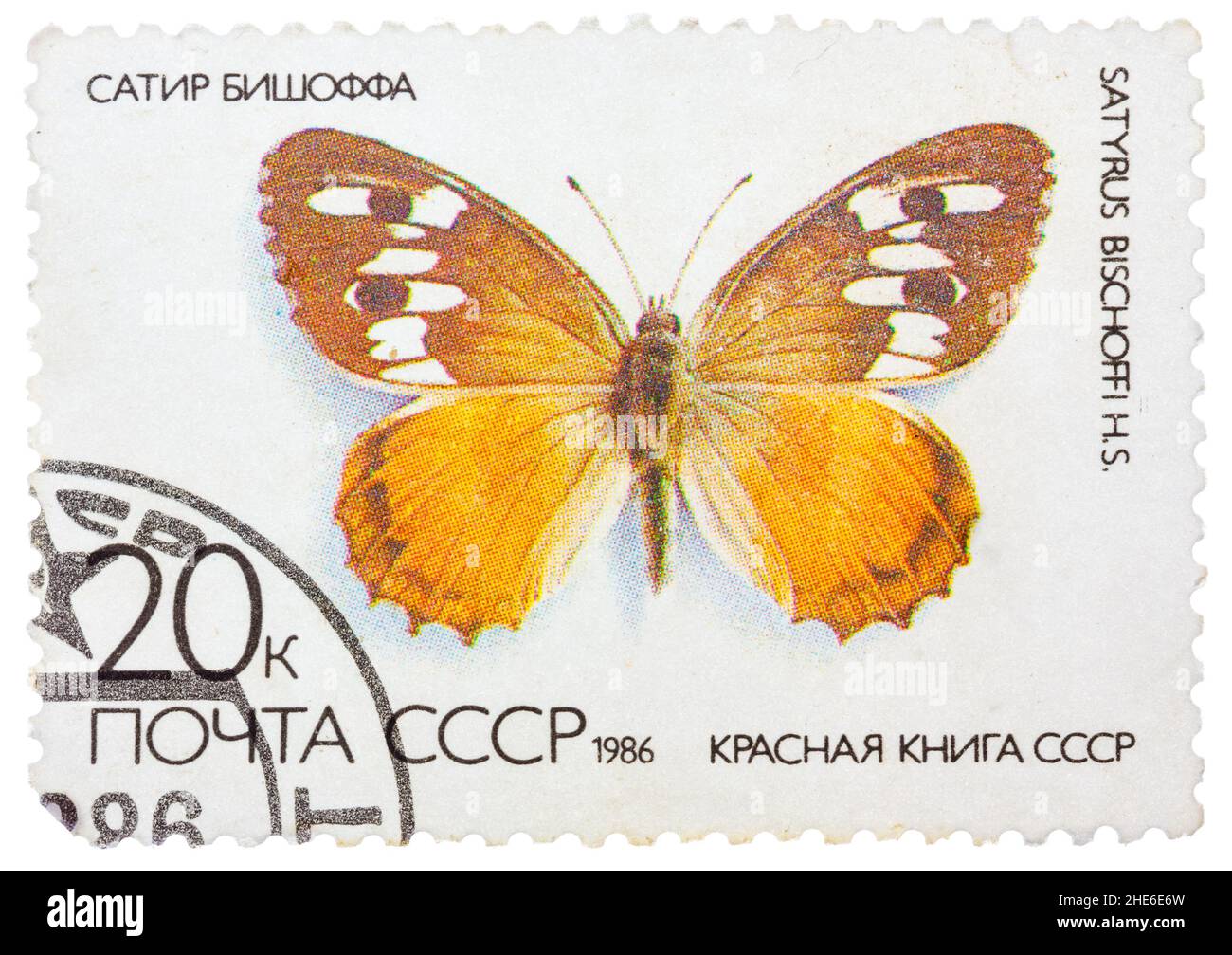 Stamp printed in the USSR (Russia) shows a Butterfly with the inscription 'Satyrus bischoffi', from the series 'Red Book USSR' Stock Photo