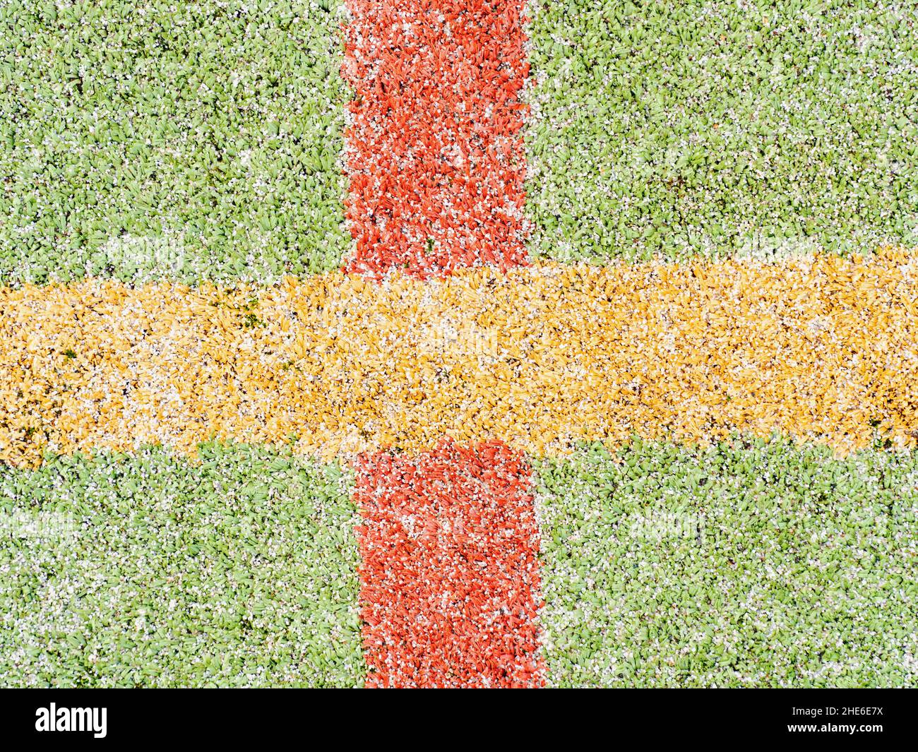 Colorful lines of playfield. Sports markings on playfield. Football or