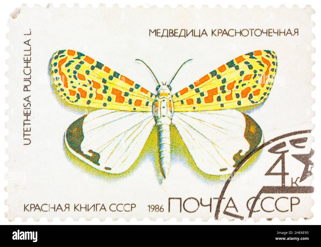 Stamp printed in USSR, shows Butterfly Utetheisa pretty Utetheisa pulchella , from series 'Red Book USSR' Stock Photo