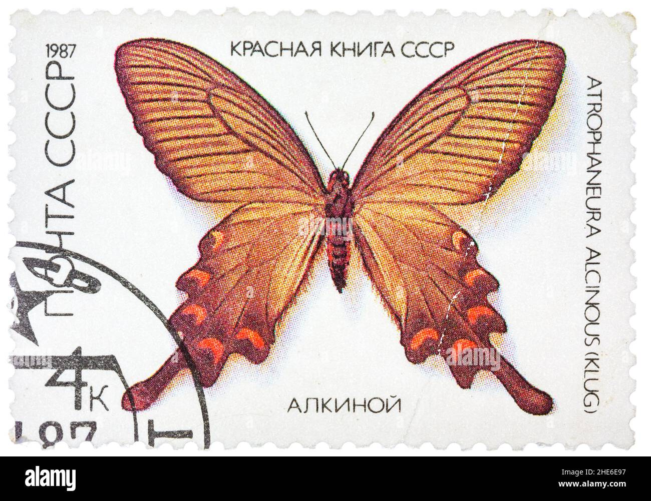 Stamp printed in the USSR shows butterfly Alcinous, series Stock Photo