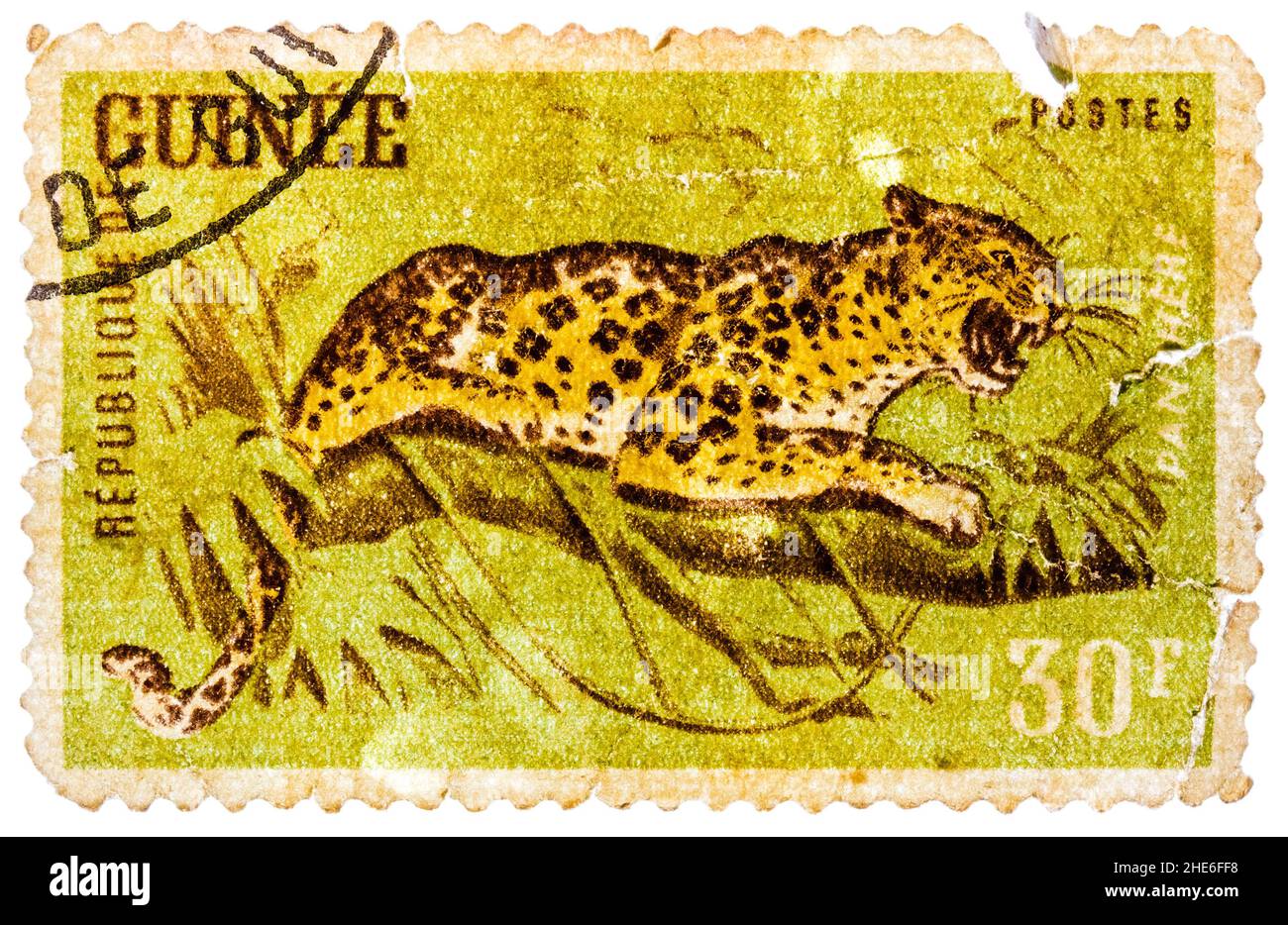 Stamp printed in Guinea from the "Wild Animals" issue shows a Leopard (Panthera pardus) Stock Photo