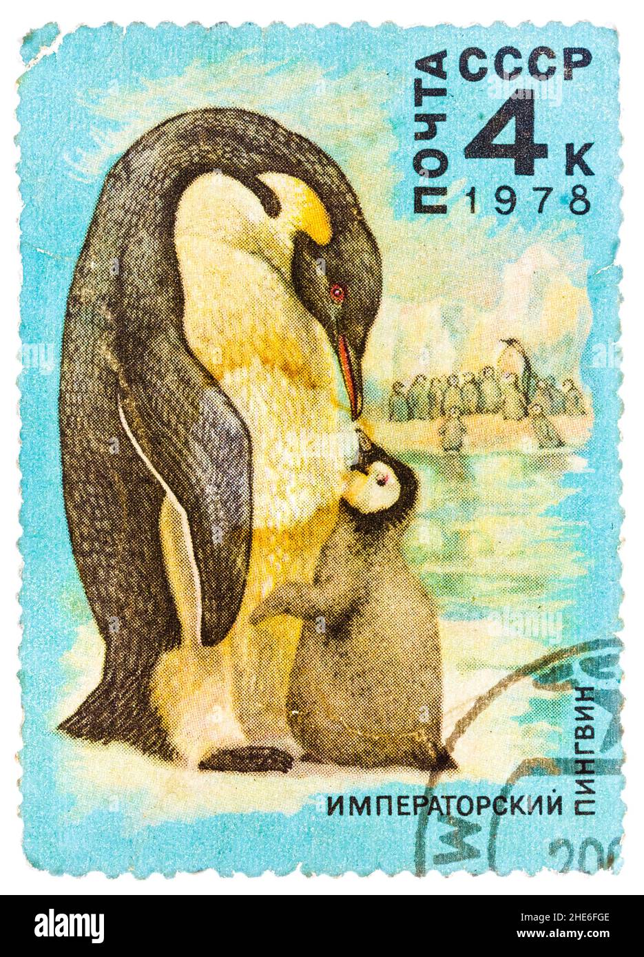 Chick eye Cut Out Stock Images & Pictures Alamy