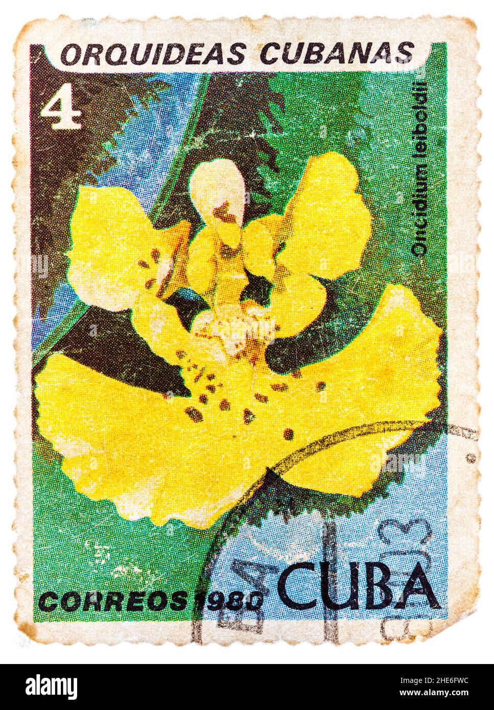 Stamp printed in the Cuba shows Oncidium Leiboldii, Orchid Stock Photo