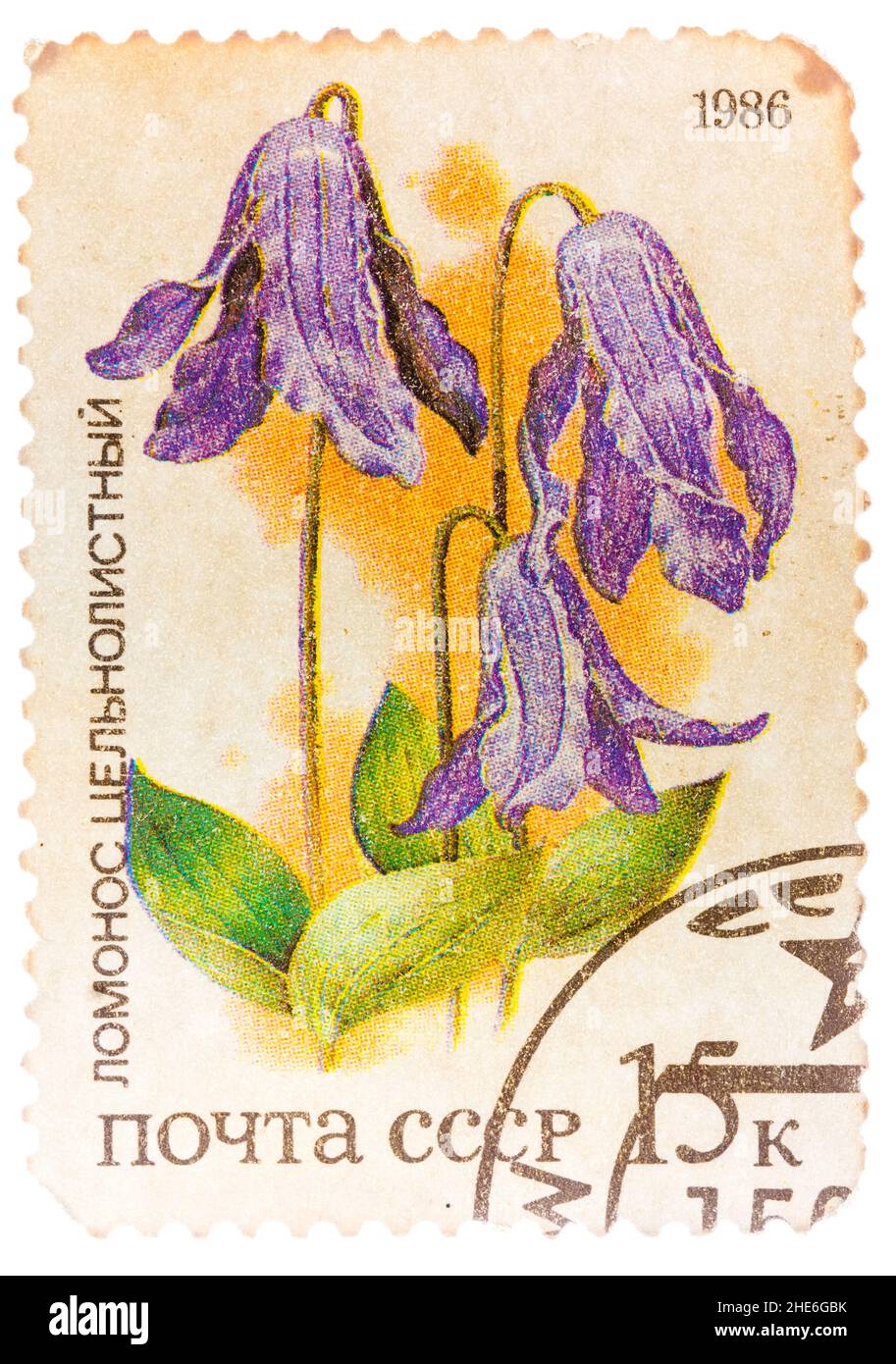 Stamp printed by Russia, shows flower, Clematis integrifolia Stock Photo