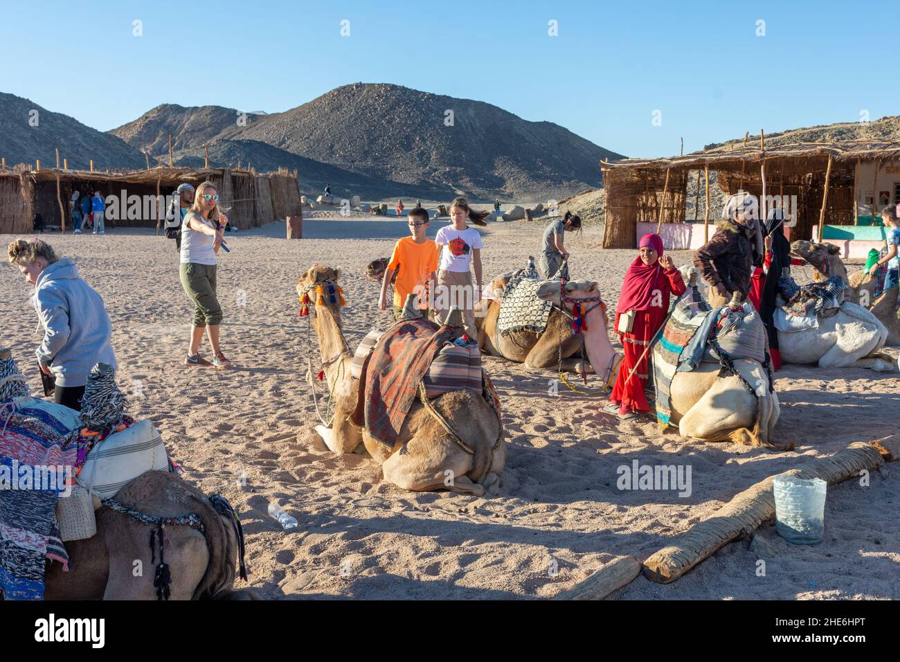 People ride camels in the Sahara desert, near a Bedouin village. Stock Photo