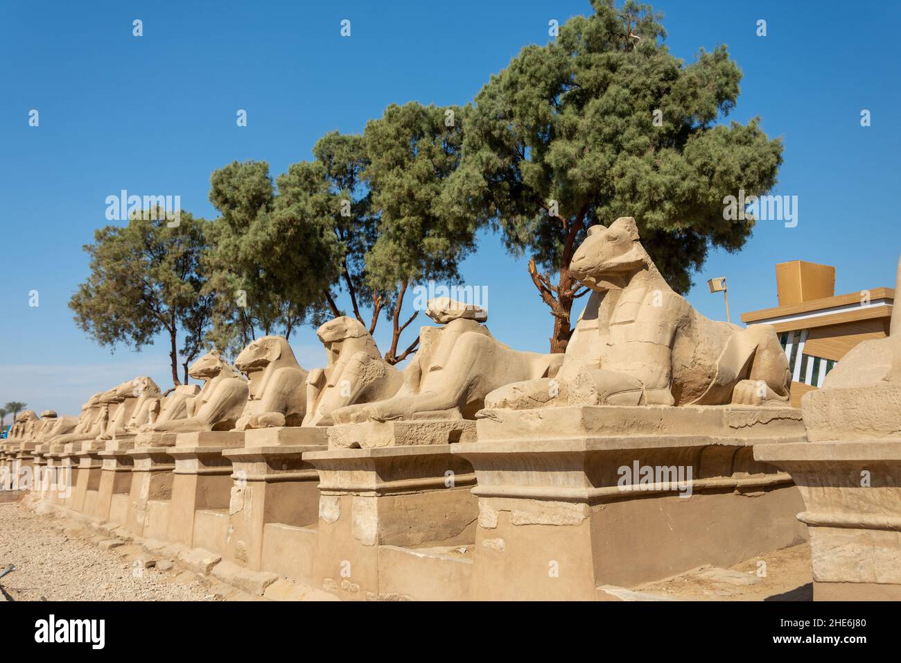 A raw of sphinxes in the Karnak temple complex in Luxor, Egypt. Stock Photo